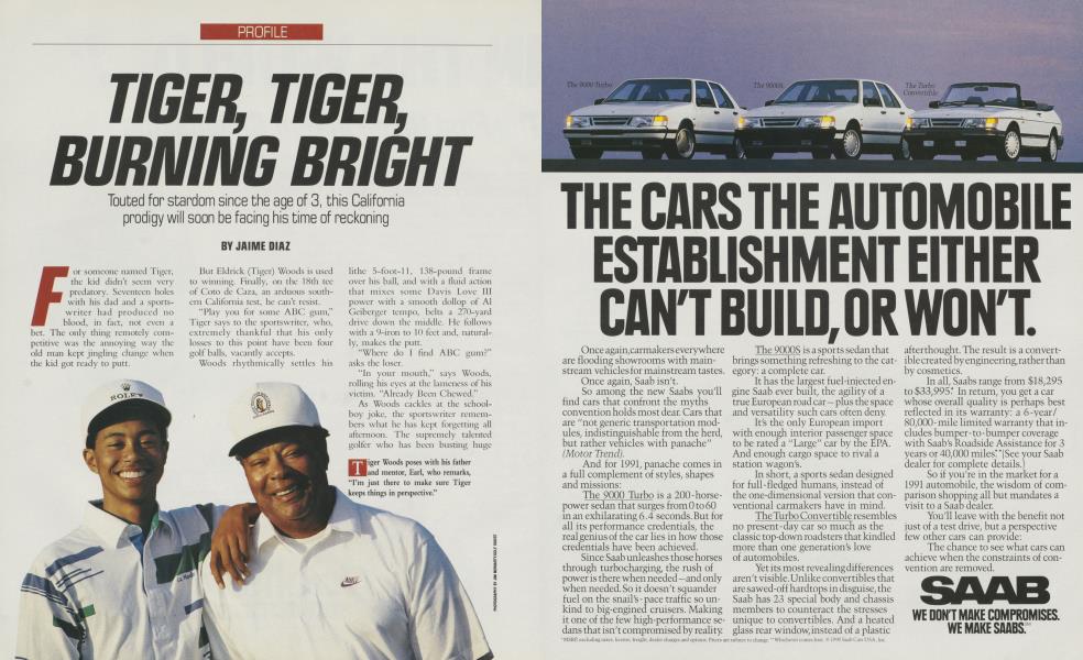 TIGER, TIGER, BURNING BRIGHT