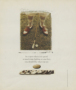 Page: - 3 | Golf Digest