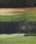 Page: - 87 | Golf Digest