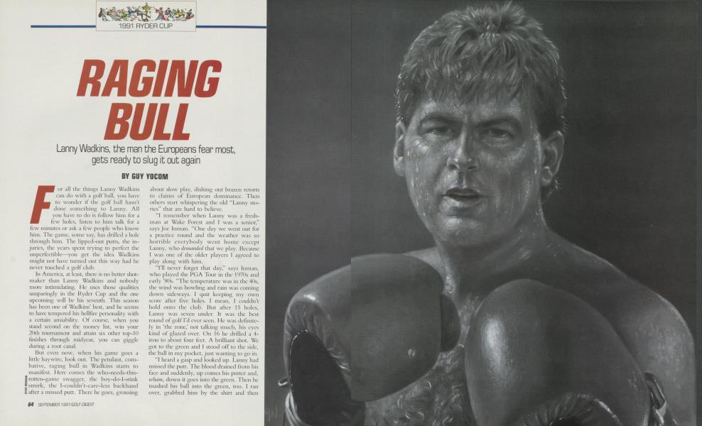 RAGING BULL