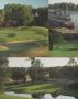 Page: - 117 | Golf Digest