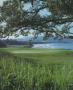 Page: - 95 | Golf Digest