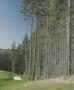 Page: - 55 | Golf Digest