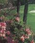 Page: - 128 | Golf Digest