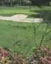 Page: - 129 | Golf Digest