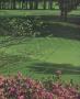 Page: - 130 | Golf Digest