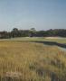 Page: - 218 | Golf Digest
