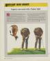 Page: - 24 | Golf Digest