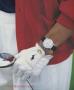 Page: - 2 | Golf Digest