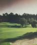 Page: - 256 | Golf Digest