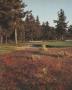 Page: - 106 | Golf Digest