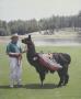 Page: - 12 | Golf Digest