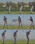 Page: - 73 | Golf Digest