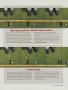 Page: - 95 | Golf Digest