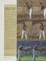Page: - 120 | Golf Digest