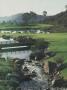 Page: - 226 | Golf Digest