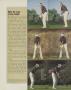 Page: - 108 | Golf Digest
