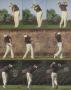 Page: - 110 | Golf Digest