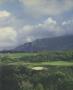 Page: - 246 | Golf Digest