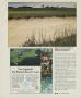 Page: - 136 | Golf Digest