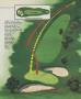 Page: - 61 | Golf Digest