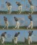Page: - 72 | Golf Digest