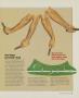 Page: - 63 | Golf Digest