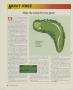 Page: - 52 | Golf Digest