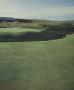 Page: - 99 | Golf Digest