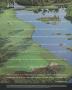 Page: - 100a | Golf Digest