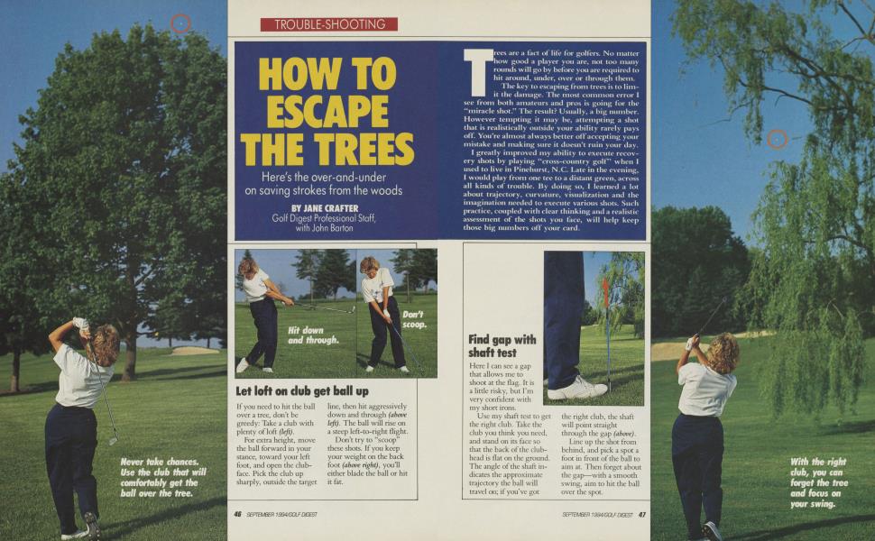 HOW TO ESCAPE THE TREES