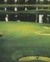Page: - 24 | Golf Digest