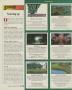 Page: - 166k | Golf Digest