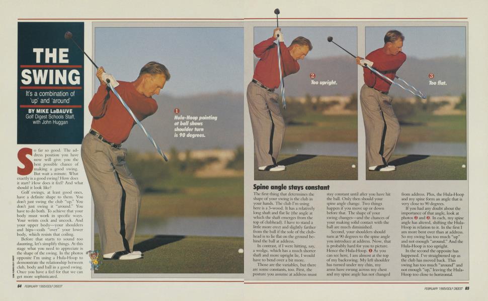 THE SWING