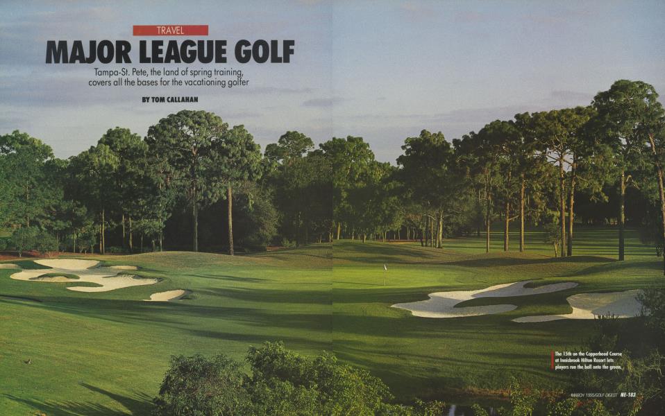MAJOR LEAGUE GOLF