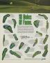 Page: - 208 | Golf Digest