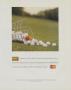 Page: - 101 | Golf Digest