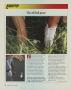 Page: - 50 | Golf Digest