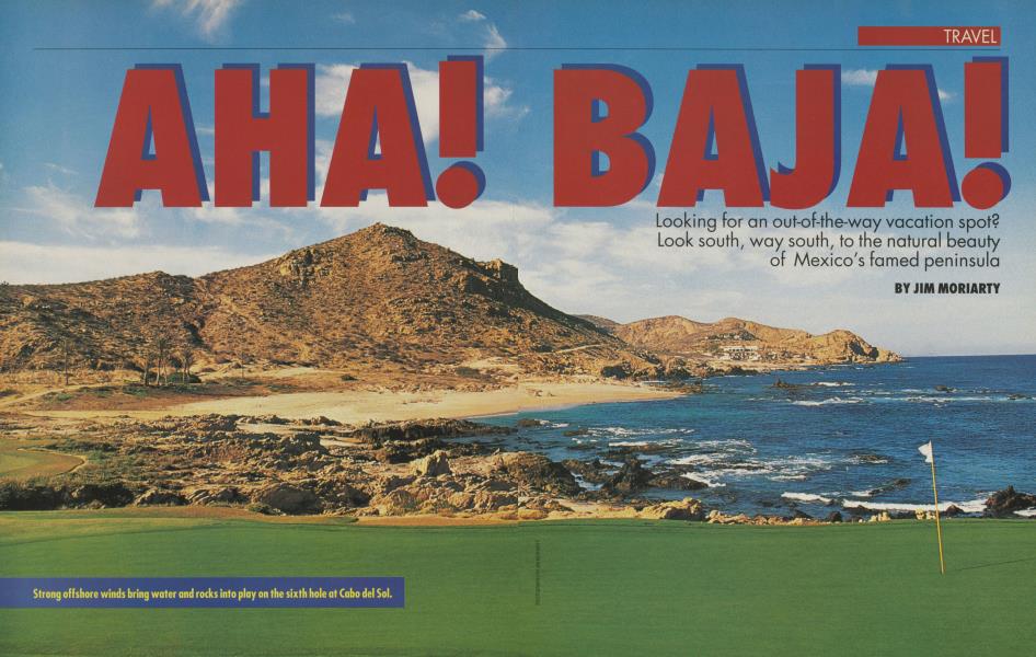 AHA! BAJA!