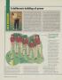 Page: - 60 | Golf Digest