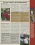 Page: - 175 | Golf Digest