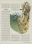 Page: - 119 | Golf Digest