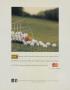 Page: - 181 | Golf Digest