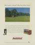 Page: - 31 | Golf Digest