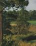 Page: - 120 | Golf Digest