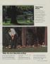 Page: - 81 | Golf Digest
