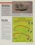 Page: - 61 | Golf Digest