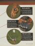 Page: - 85 | Golf Digest