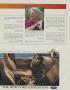 Page: - 15 | Golf Digest