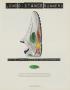 Page: - 193 | Golf Digest